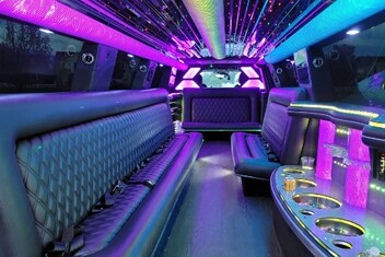 Blue Springs Limo Interior